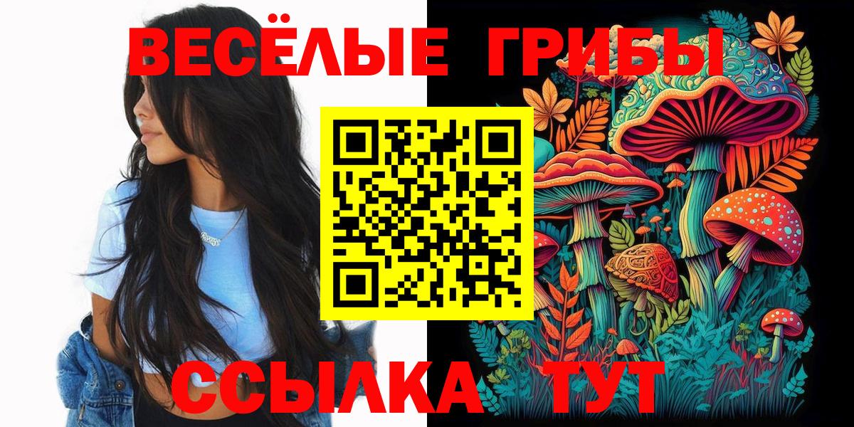 Якутск  Галлюциногенные грибы мицелий  Псилоцибиновые грибы Cubensis  Вход с VPN 